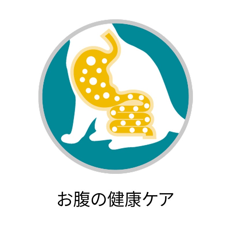 美味を求める成猫用 1歳以上 チキン - ピュリナ ワン キャット